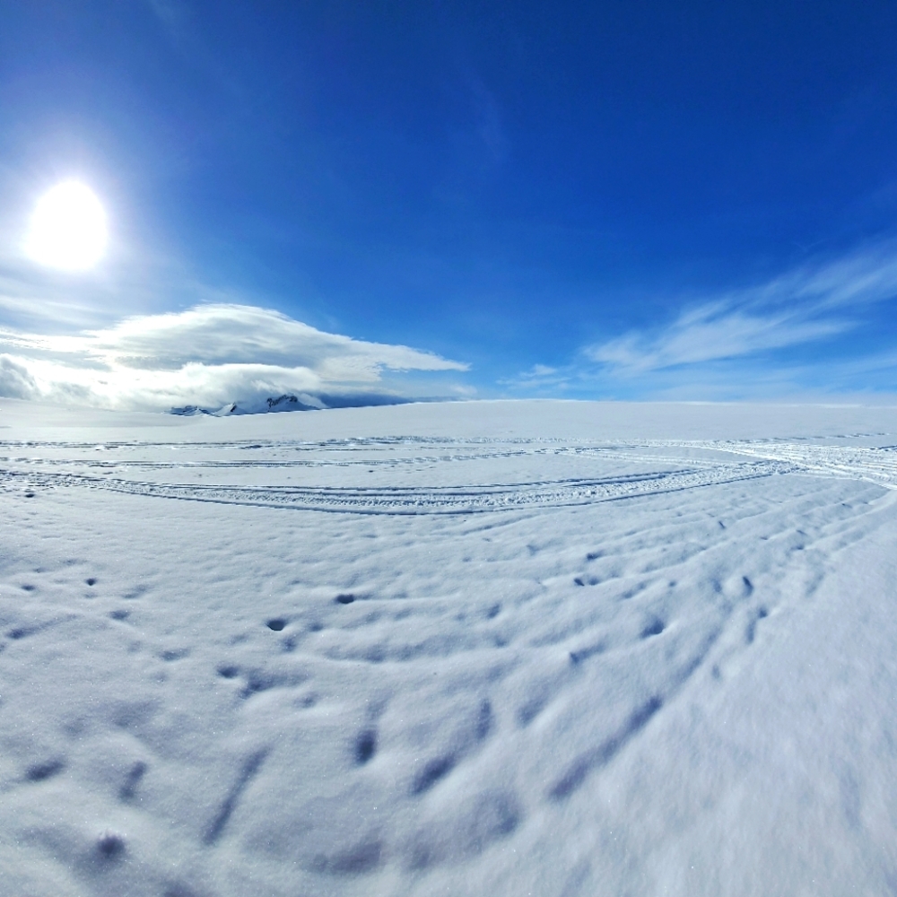 Meet your Posher, Mirelle